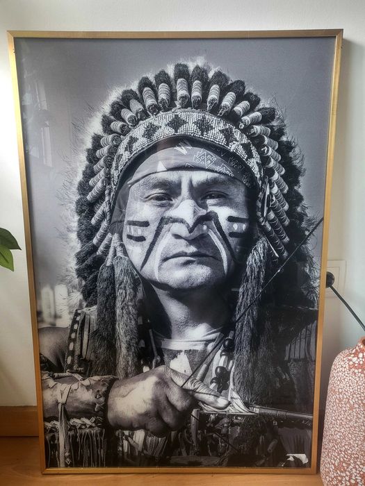 Quadro indio novo