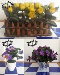 Flores Artificiais Decorativas - Entre 2,50€ e 3,50€!