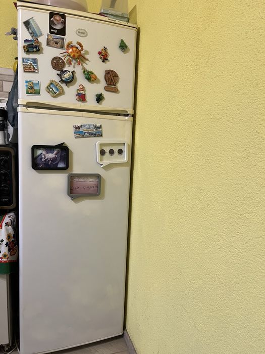 Холодильник Snaige