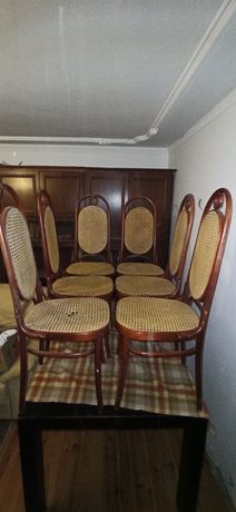 6 szt krzesła Rattan proj. Thonet Jasienica mahoń