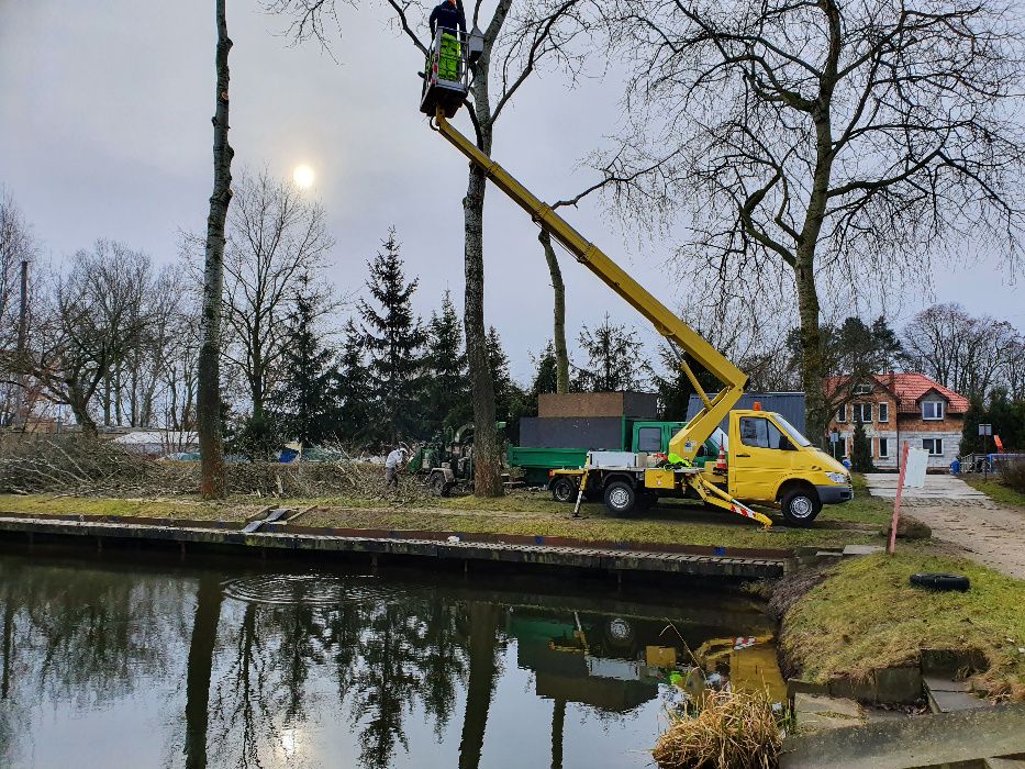 Wycinka drzew, podnośnik koszowy, rębak do gałęzi, frezowanie pni