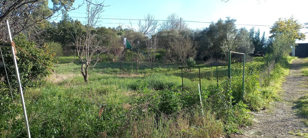 Excelente quinta... badajoz