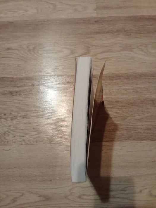 Lektura W Pustyni i w Puszczy