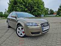 Audi A3 1.6 8v mpi benzyna klimatronic serwisowana zadbana 1 własciciel