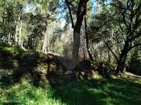 Terreno  para venda