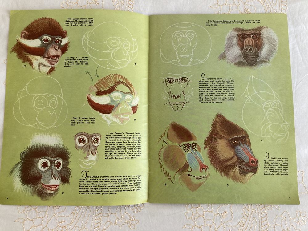 Revista “How to draw and paint animal expressions”, de W. Wilwerding