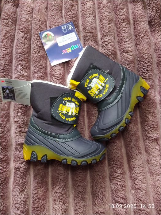 Чоботи сноубутси