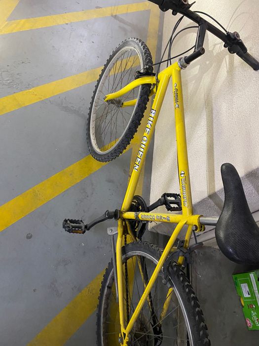 Bicicleta adulto