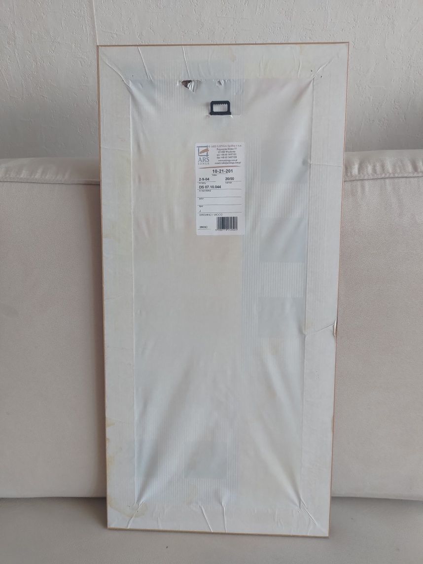 Obraz w ramie z plexi 20/50 kwiat w wazonie