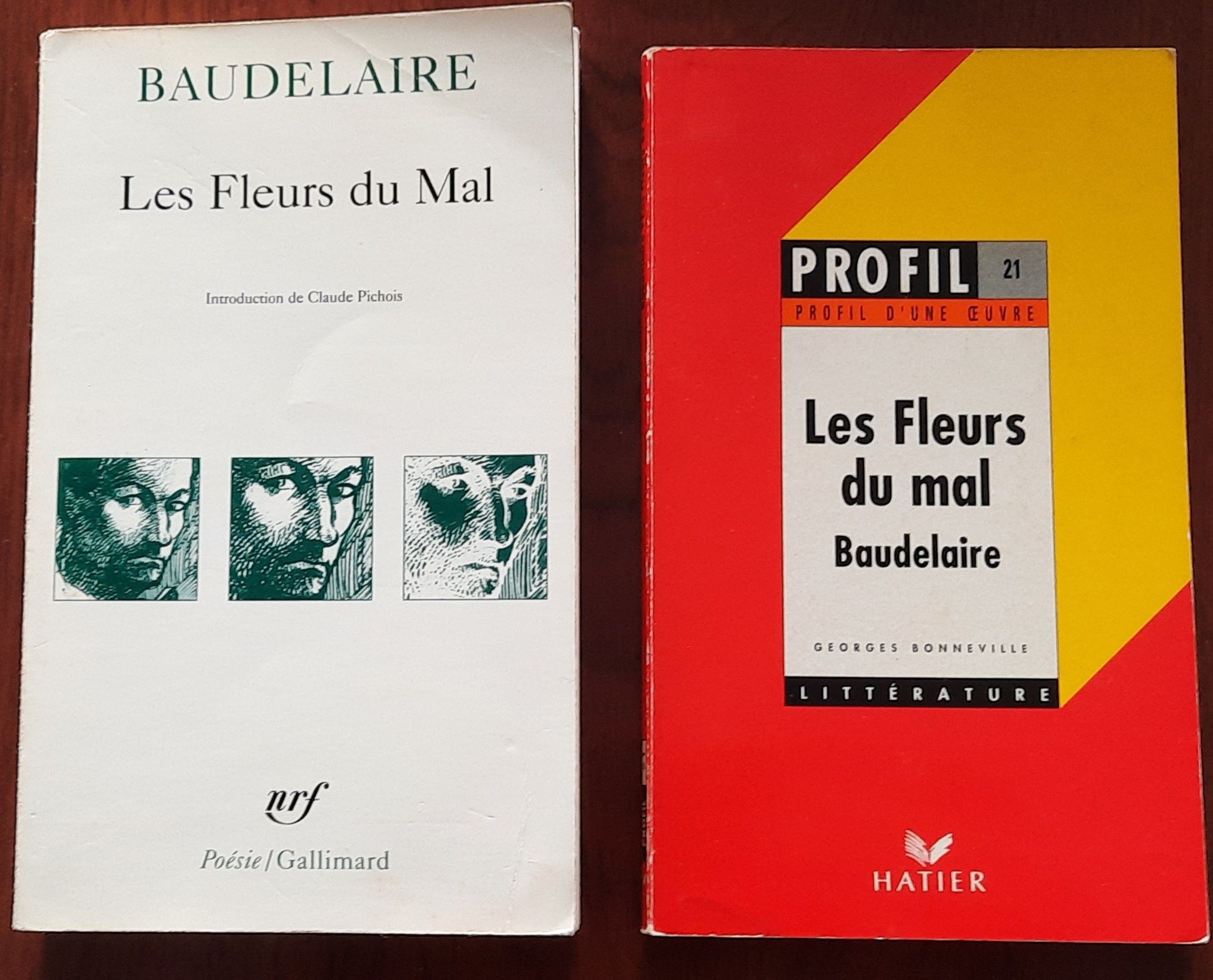 Les Fleurs du Mal, de Charles Baudelaire.