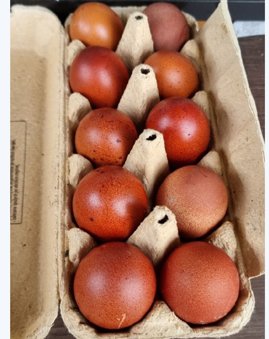Sprzedam jaja lęgowe marans