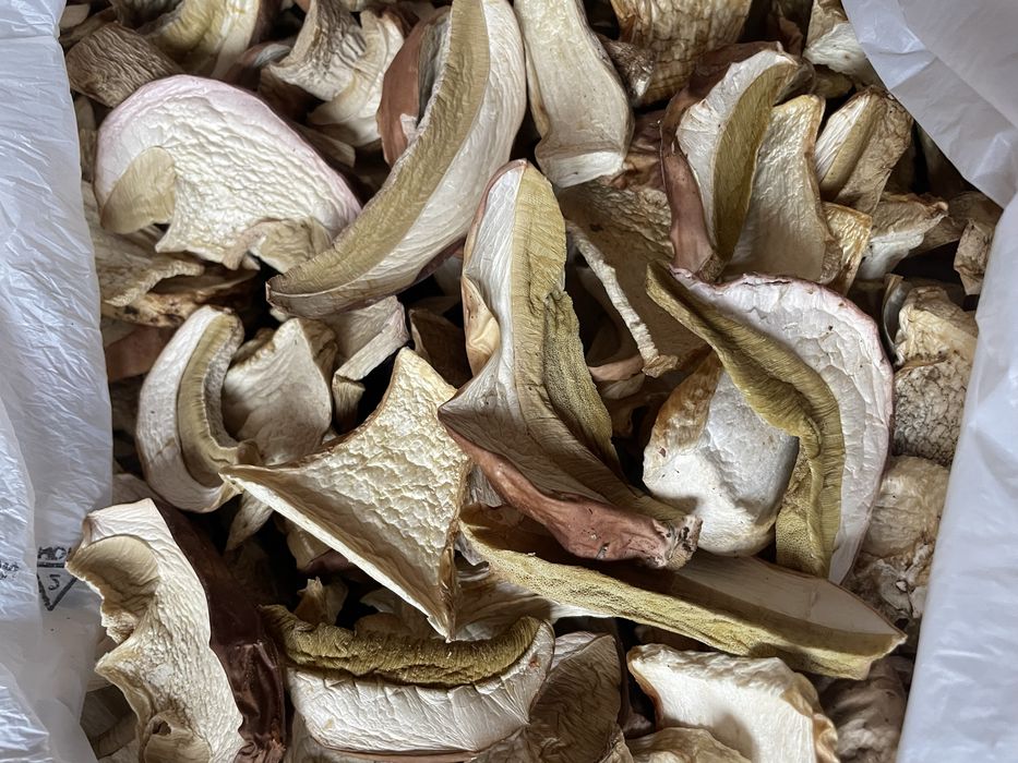 Гриби білі сушені !