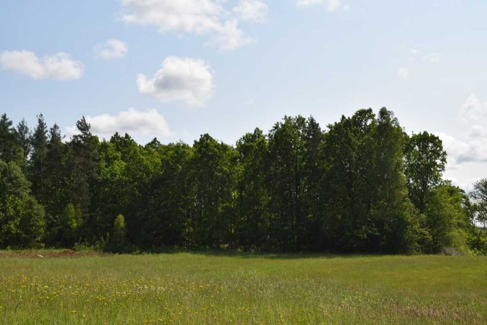 działka budowlana pod Sierakowicami