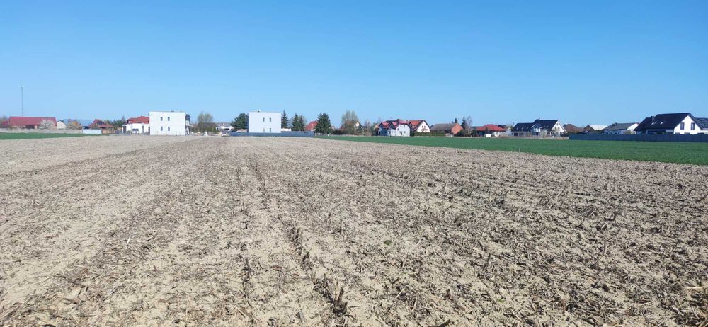 Działki Wilkowice 645,647,651,704m2 przy ul.Szkolnej