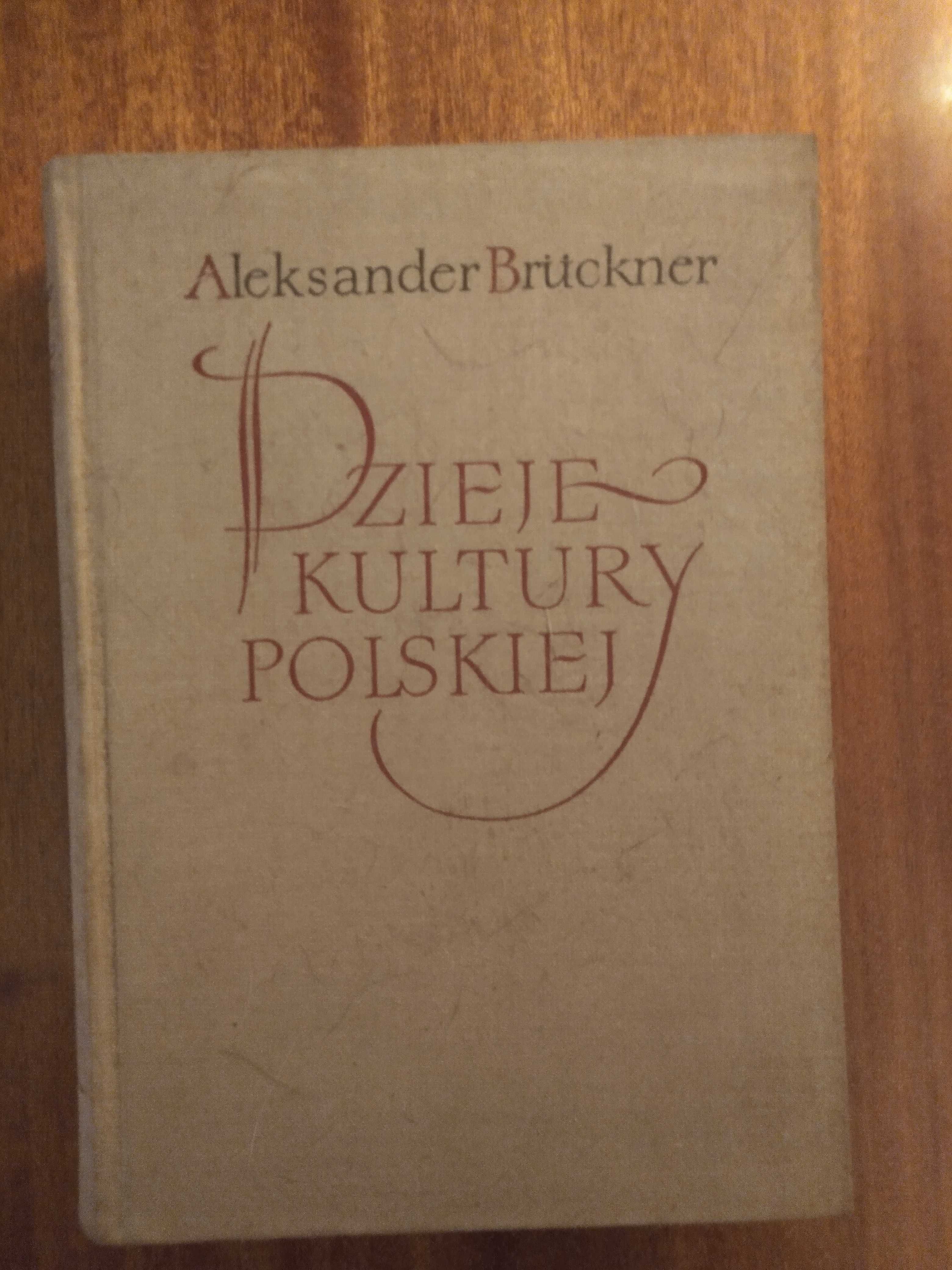 Dzieje kultury polskiej - Aleksander Bruckner - Tom III