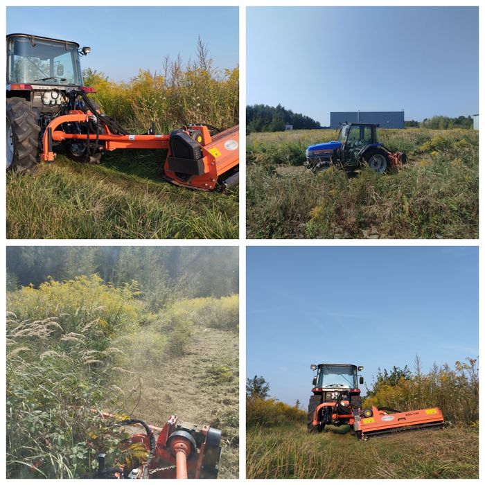 Usługa obsługi zieleń i czystość dla twoje firmy ogrodu