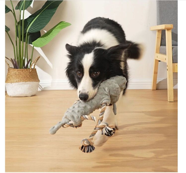 Zabawka piszcząca dla psa Sedioso