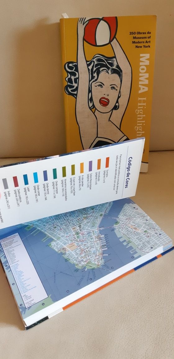 Livros: guía nova Iorque (lonely planet) & MoMA highlights