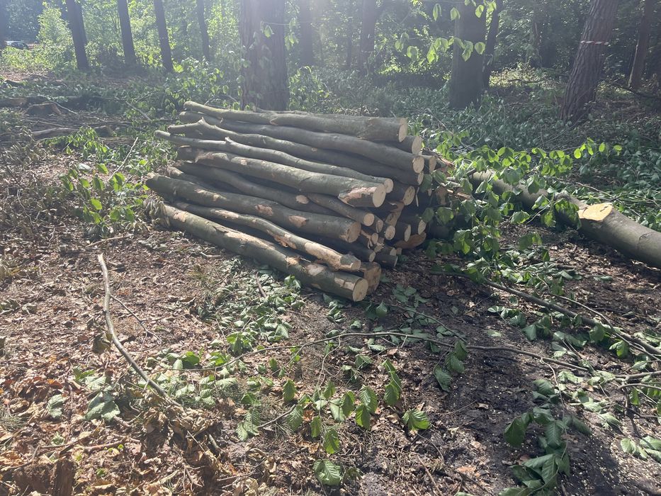 Drewno opałowe gałęziówka buk grab opał