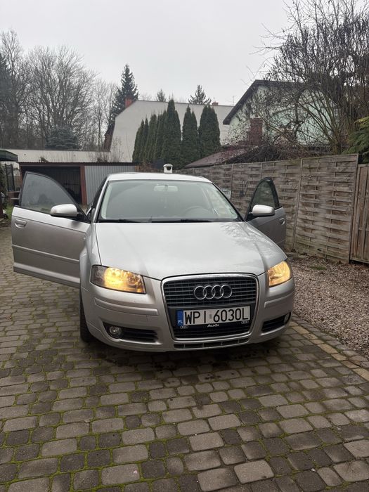 Audi A3 8P 1.9 TDI