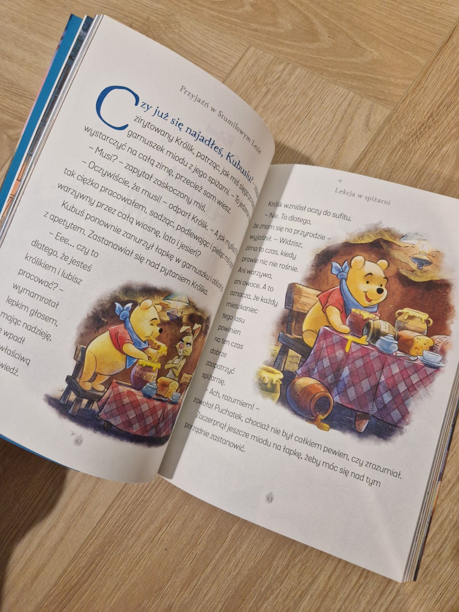 NOWA książka Kubuś i Przyjaciele Przyjaźń w Stumilowym Lesie