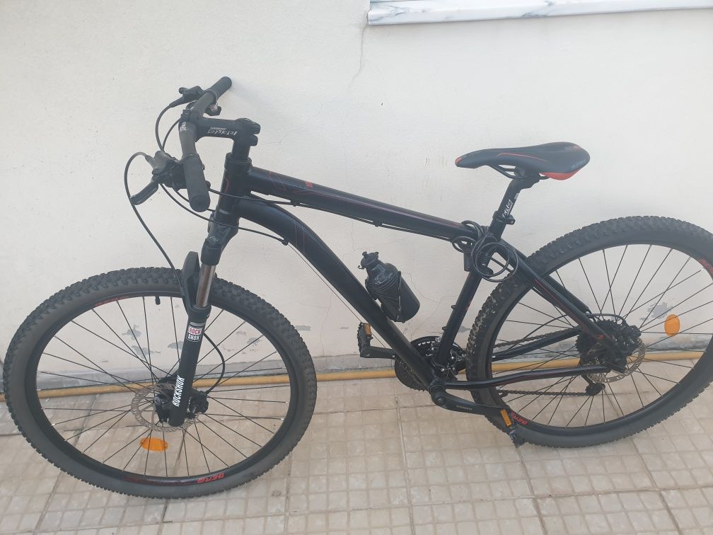 vendo bicicleta edição especial berg