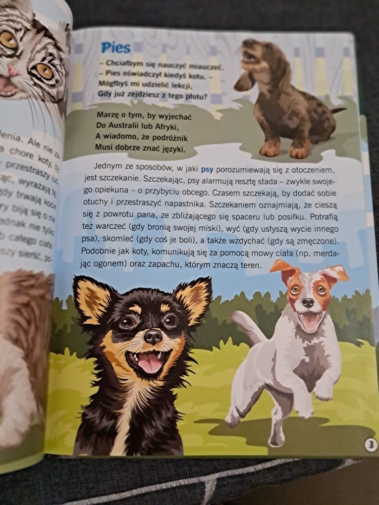 Książka Odgłosy zwierząt