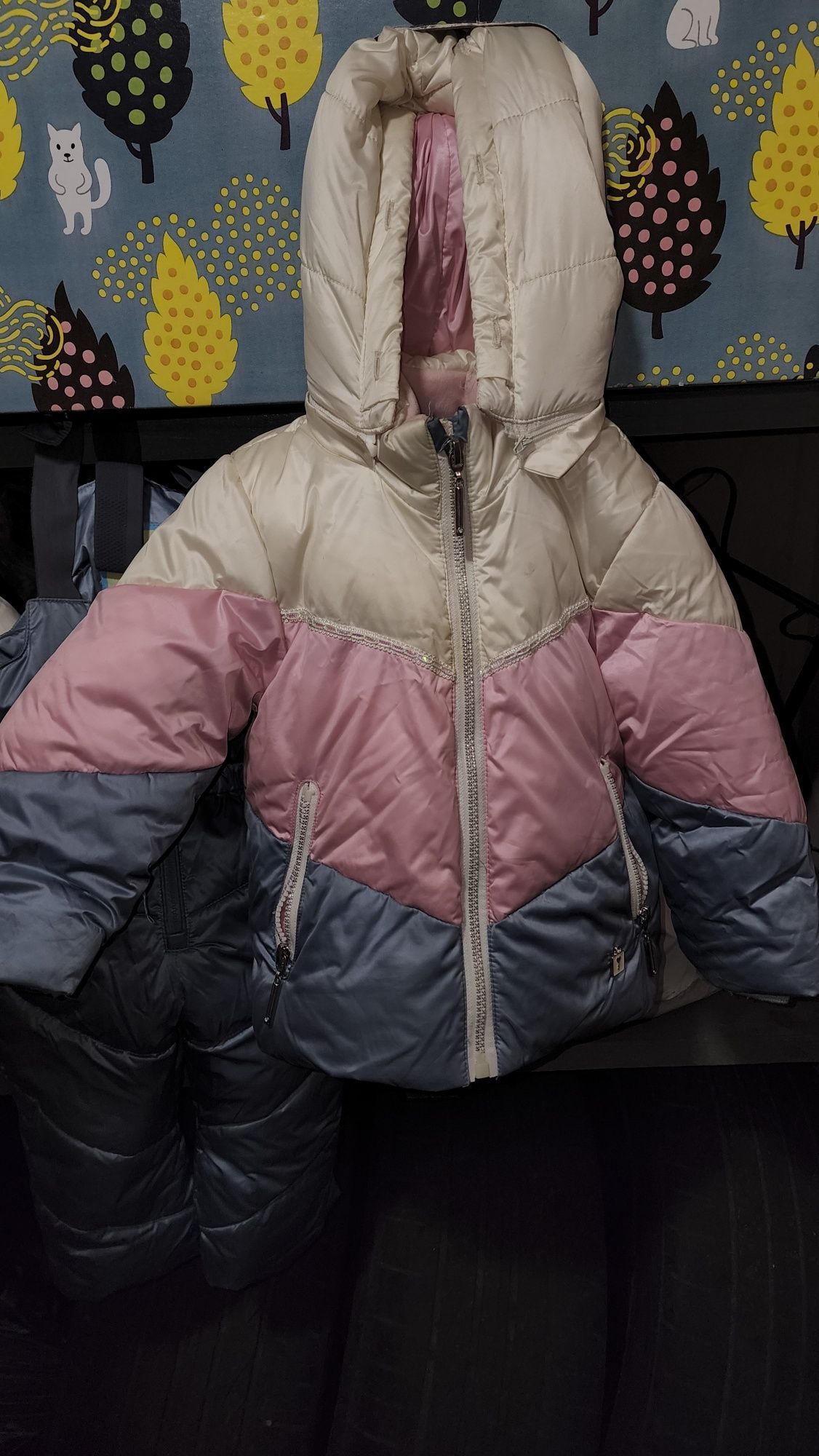 Зимовий дитячий комбінезон куртка штани