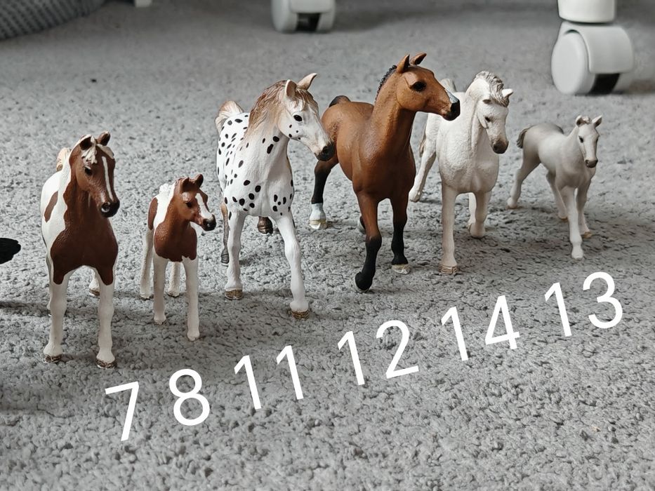### Koń konie Schleich zestaw/na sztuki