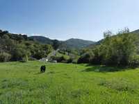 Alugo terreno agrícola zona de Mafra