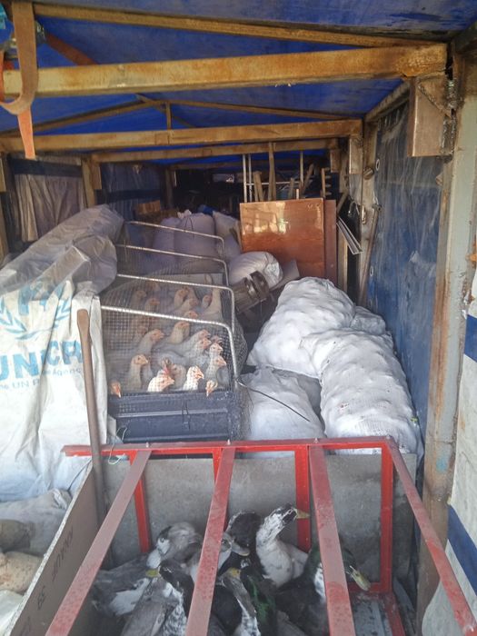 Грузоперевозки и переезд