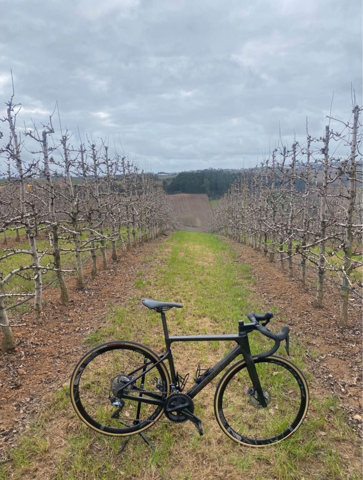 Orbea M21 de disco