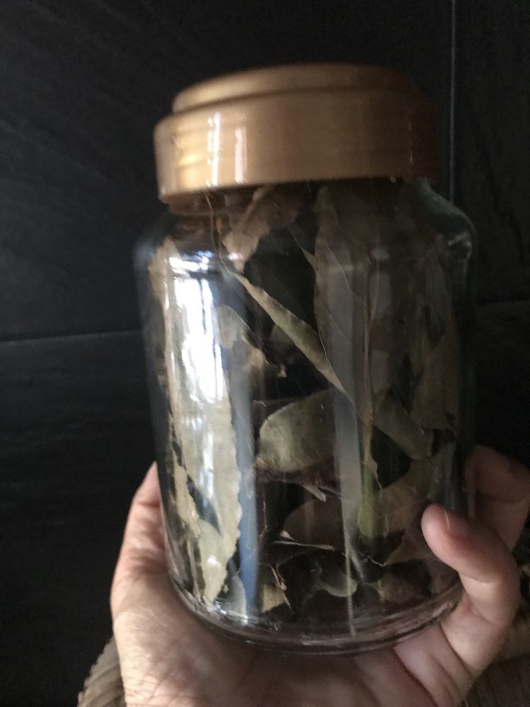 Chas e aromáticas, cidreira, menta, louro (secas ou desidratadas)