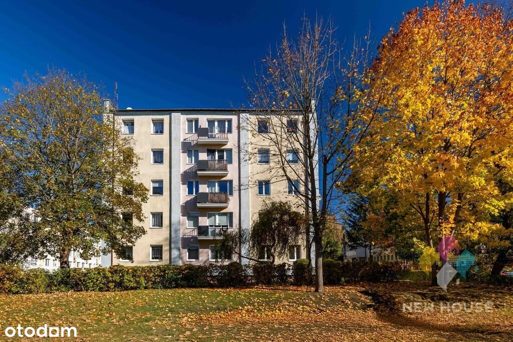 3 pokoje, parter, parking przed budynkiem