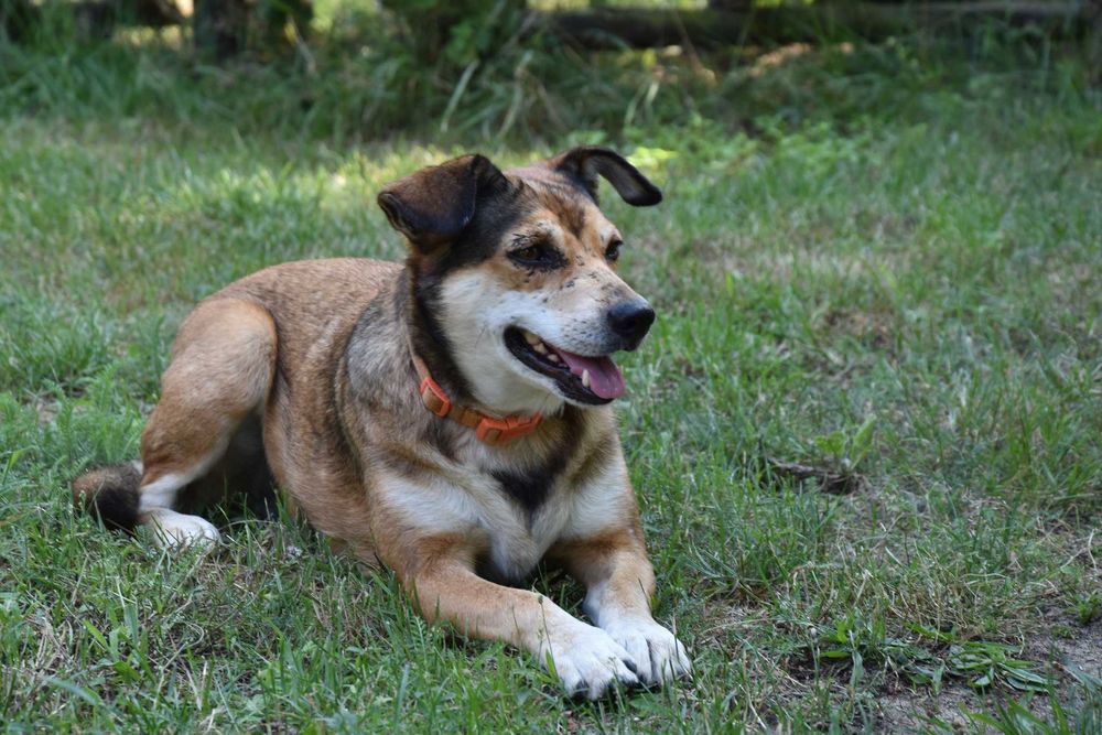 Ona i On,  żyć bez siebie nie mogą. Szukamy wspólnego domu