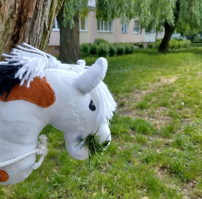 Sprzedam hobby horse