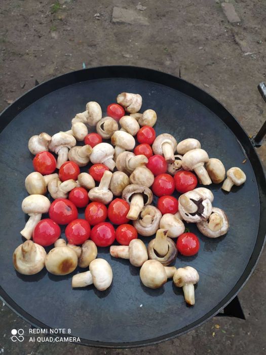 Сковорода из диска бороны 50 см садж разборной влазит в чехол.