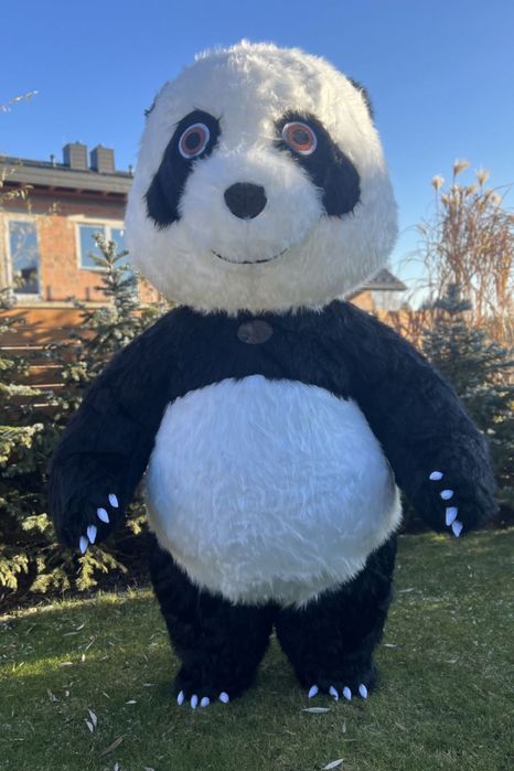Bialy Miś i Panda wynajem  na urodziny komunie chrzciny zabawy festyn