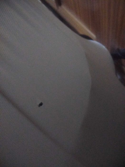 Piękny ogromny stary abażur do lampy stojącej