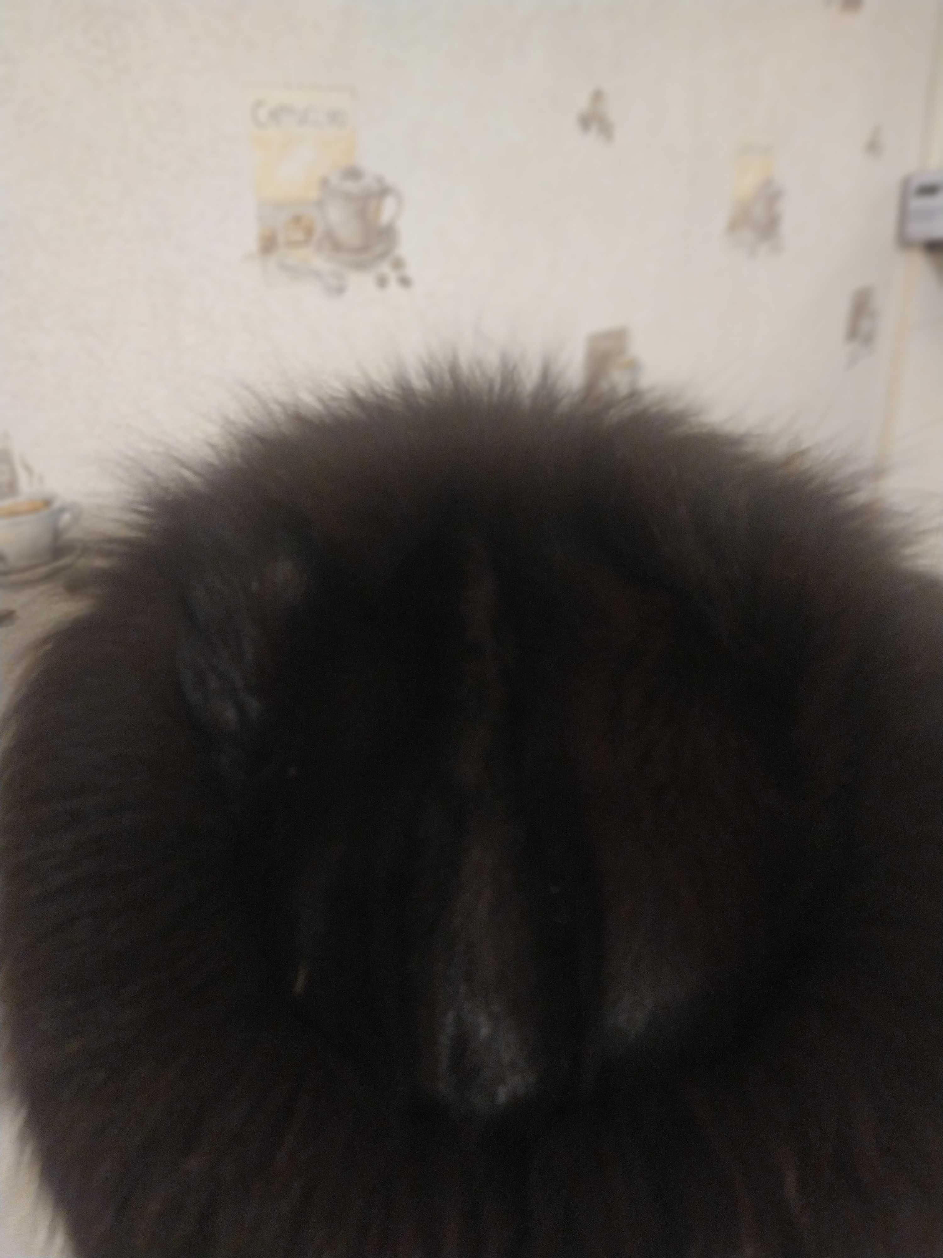 Czapka z lisa damska w kolorze gorzkiej czekolady, futro gęste
