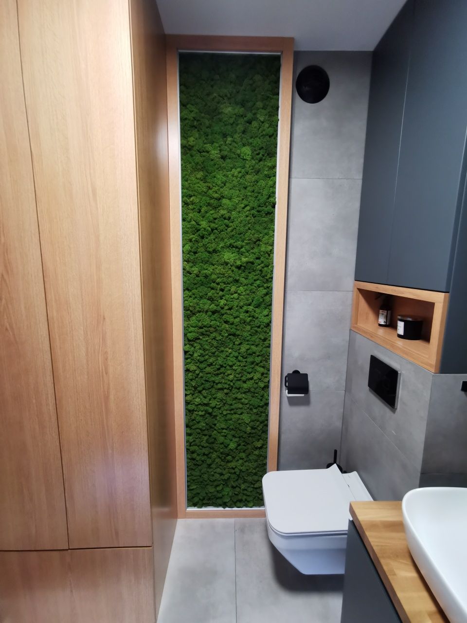 Panel z mchu zielone ściany mech chrobotek panele z mchu żywy mech