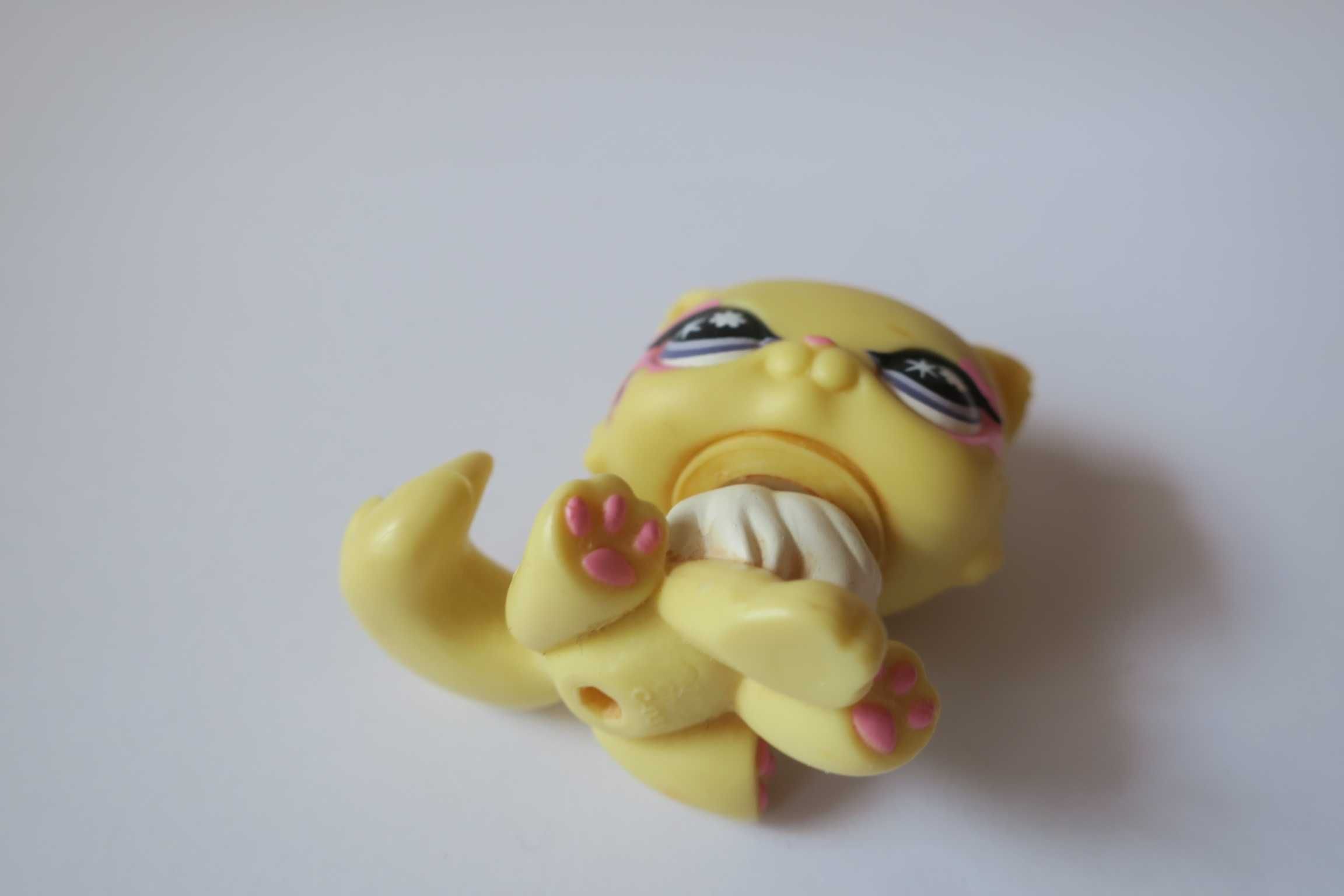 Figurka Littlest Pet Shop LPS kot kotek perski Hasbro