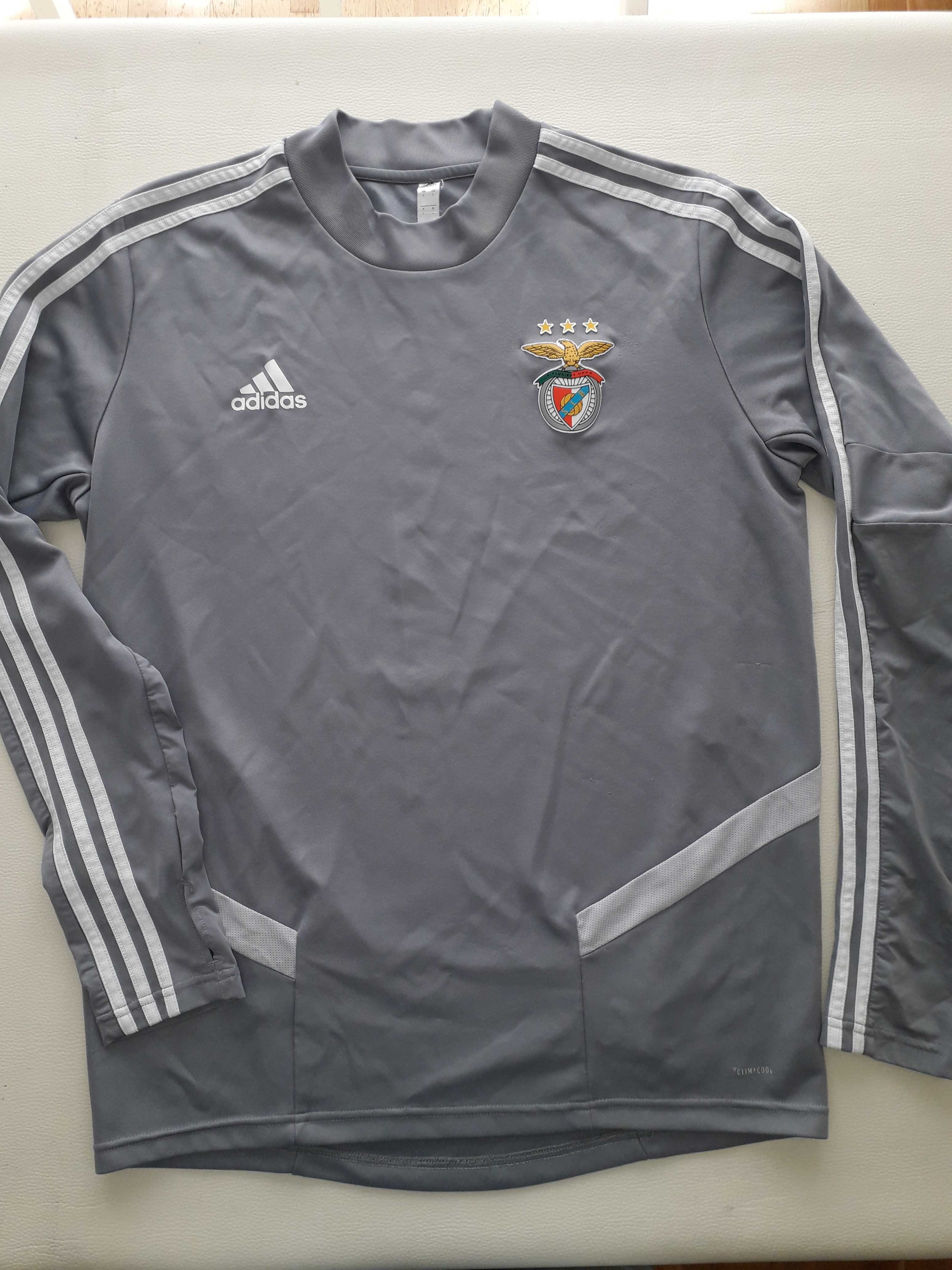 Sweatshirt Benfica