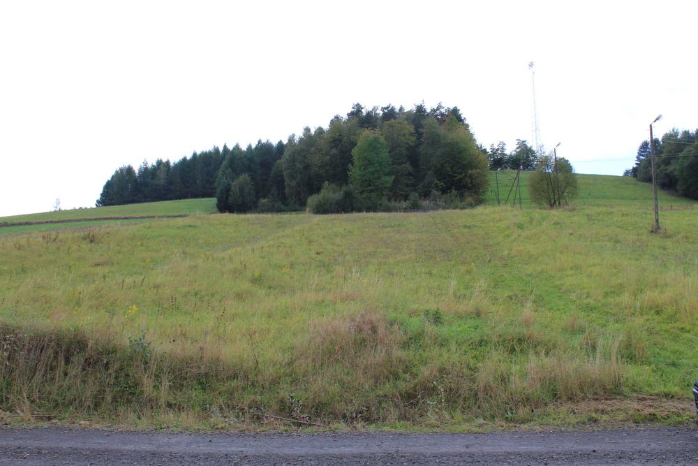 Działka 10ar. Budowlana, częściowo uzbrojona - Polańczyk ul. Spacerowa