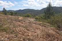 Terreno com 48 ha em Silves junto à barragem