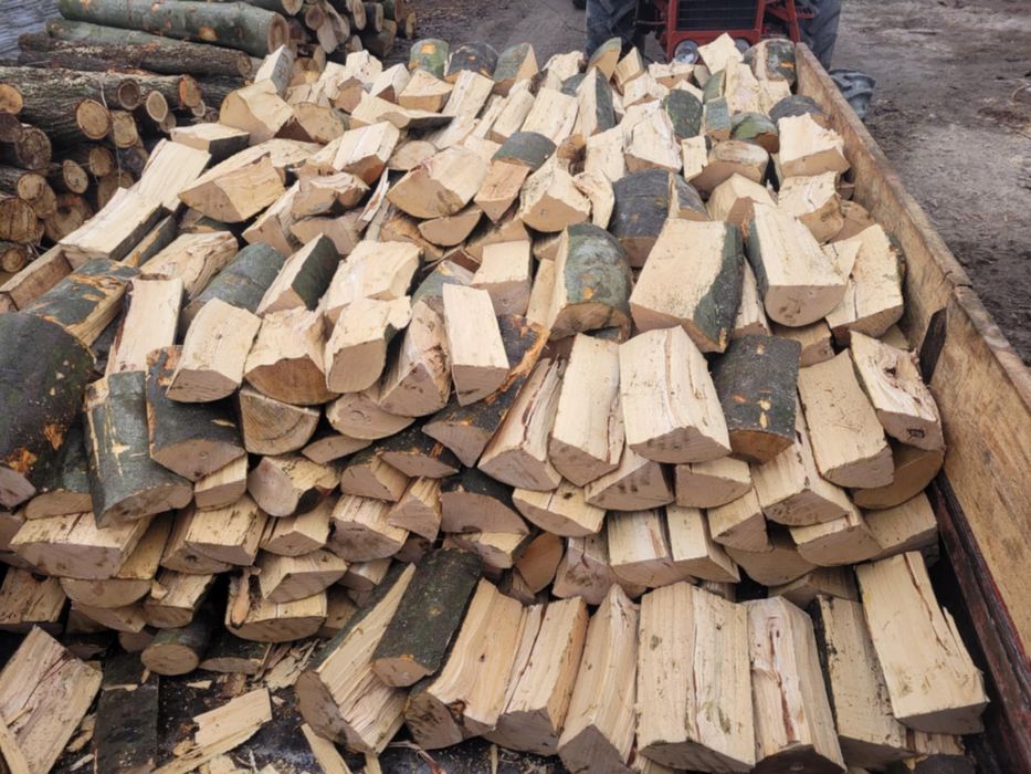 drewno drzewo opałowe kominkowe