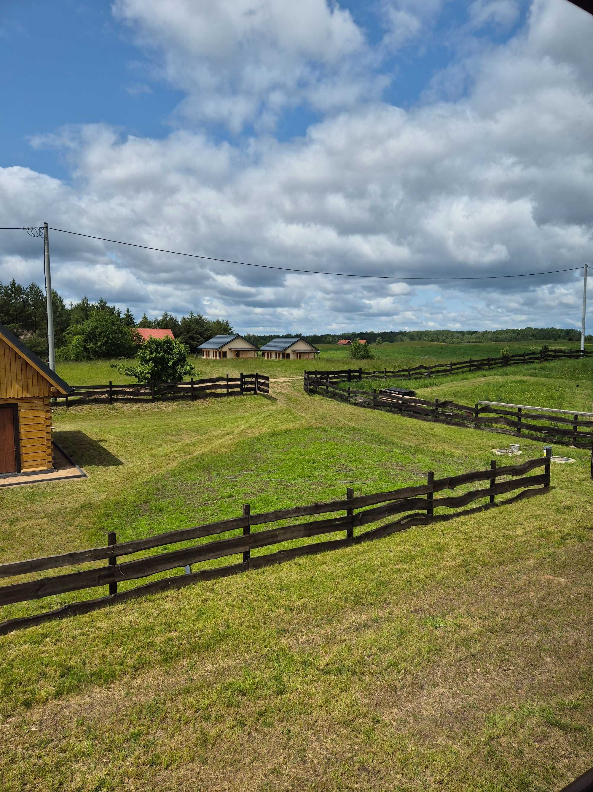 Domek letniskowy Mazury - Brajniki nad jeziorem Świętajno - Wynajem