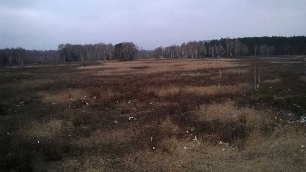 Продам земельну ділянку 1 га за межами села Рожівка, Броварський район