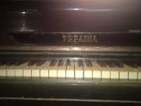 пианино Украина предлагаю Вашему вниманию