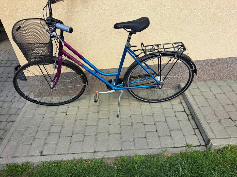 Rower alpina damski